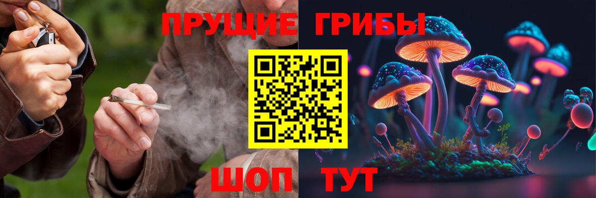 Галлюциногенные грибы Psilocybine cubensis  наркошоп  Вход с VPN  Ишим  Псилоцибиновые грибы мицелий 